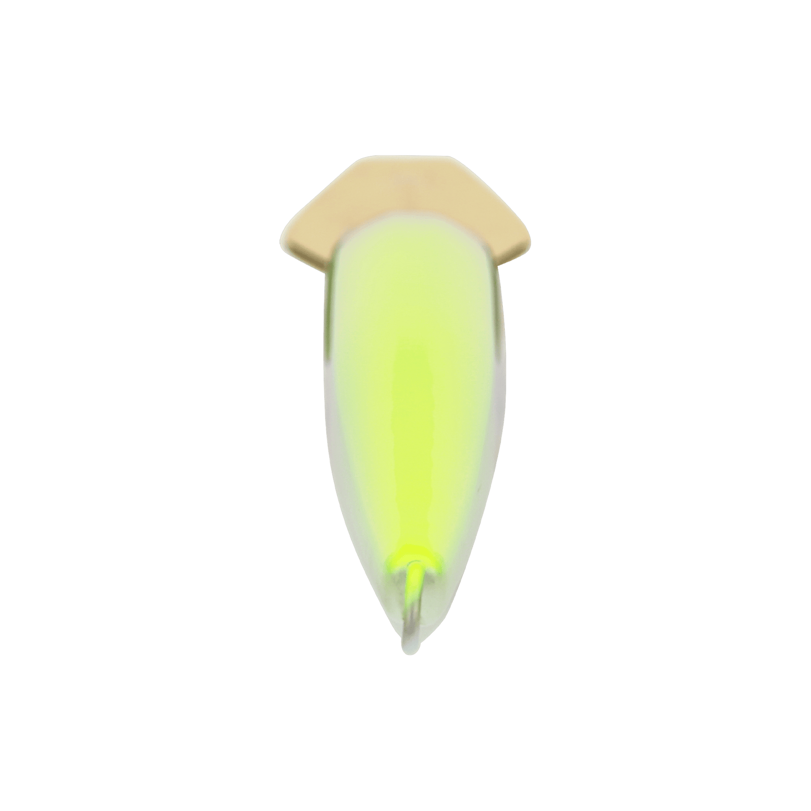 back image of sku JRIS007-CHBP