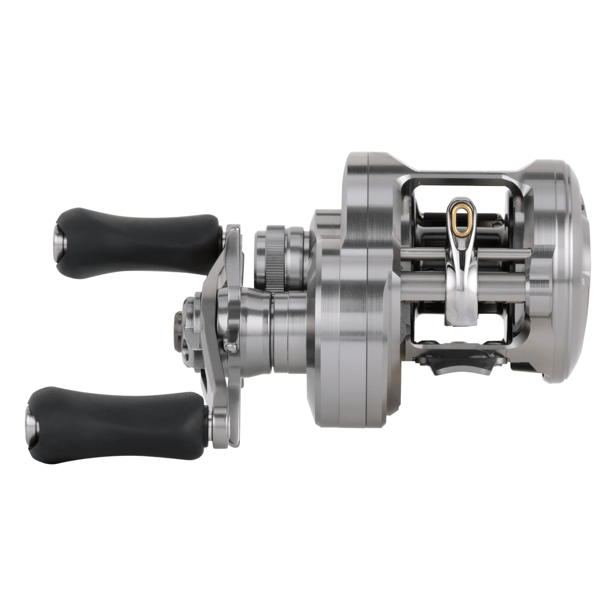Shimano - CALCUTTA CONQUEST DC A – Shimano North America Fishing