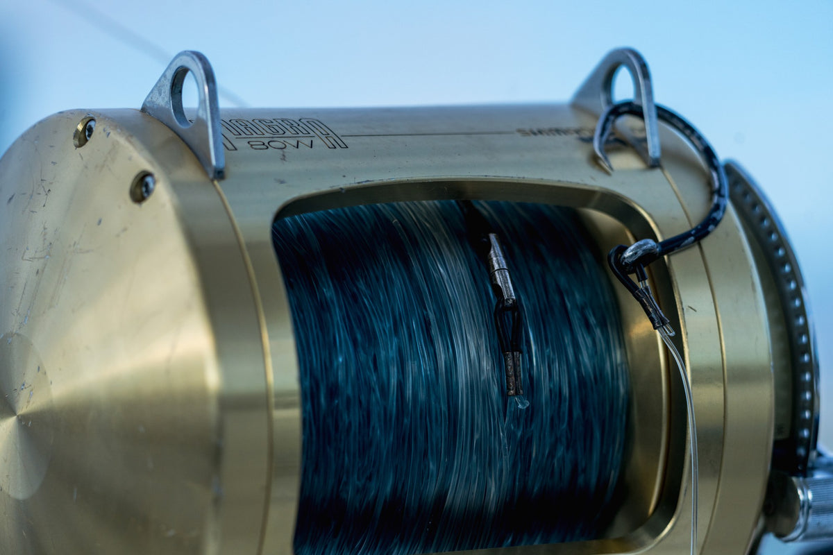 image of product TIAGRA