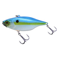 SS SHAD
