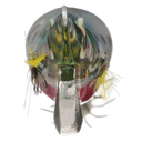 back image of sku SEPCL25FBPC